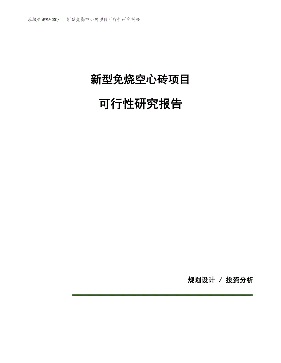 新型免烧空心砖项目可行性研究报告[参考范文].docx_第1页