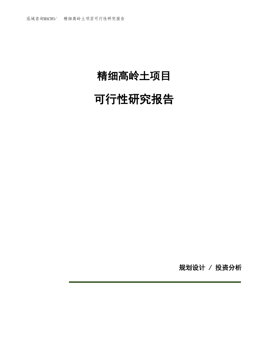 精细高岭土项目可行性研究报告[参考范文].docx_第1页