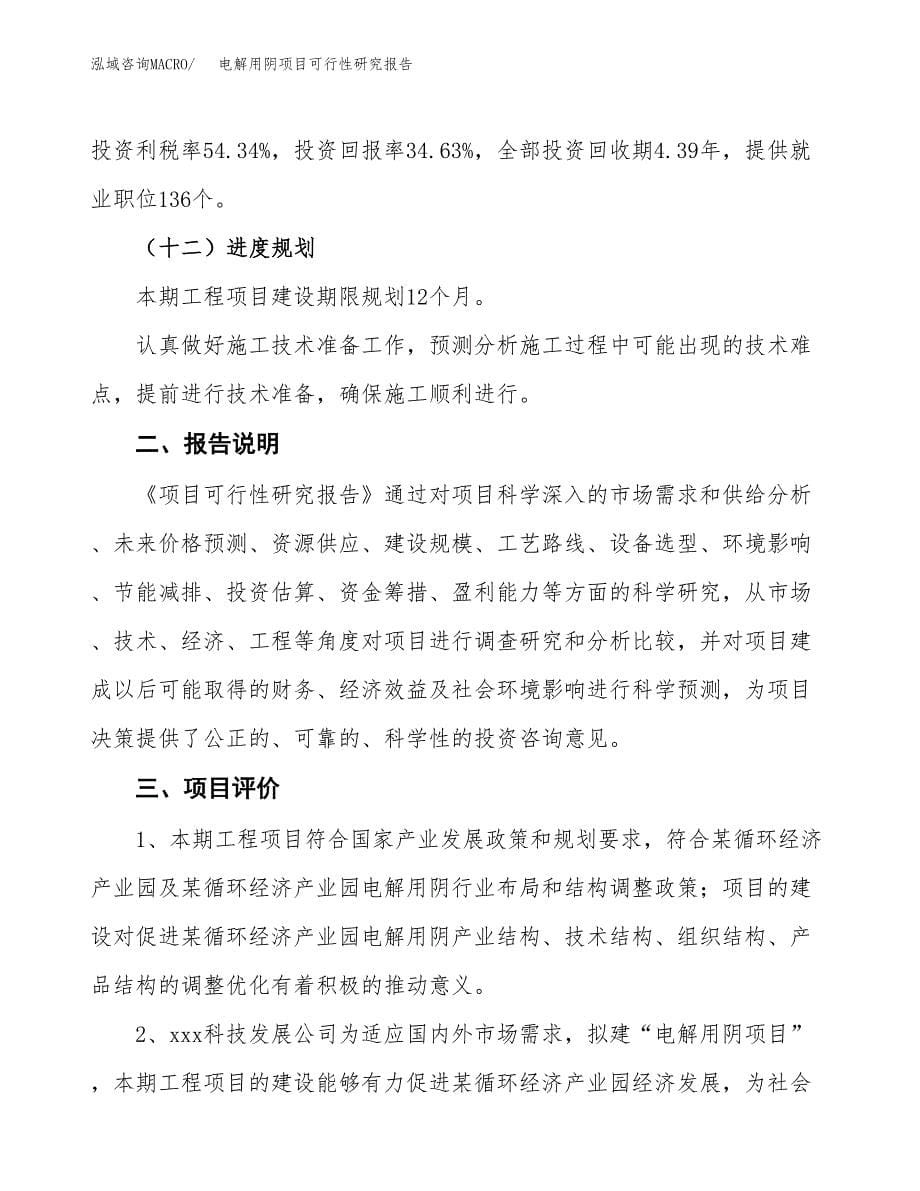 电解用阴项目可行性研究报告[参考范文].docx_第5页