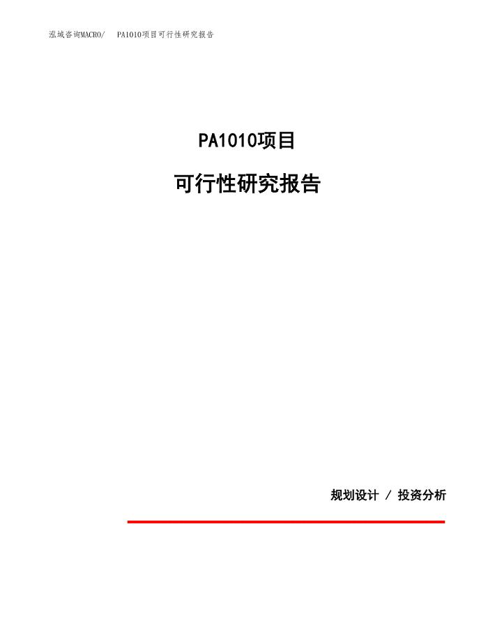 PA1010项目可行性研究报告[参考范文].docx