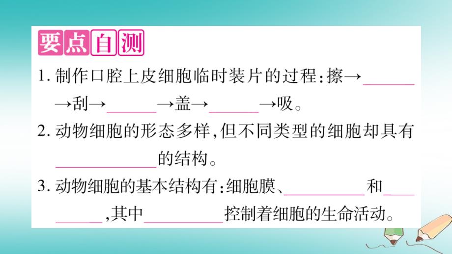 2018秋七年级生物上册 第二单元 第3章 第1节 细胞的基本结构和功能（第2课时）习题课件 （新版）北师大版_第3页