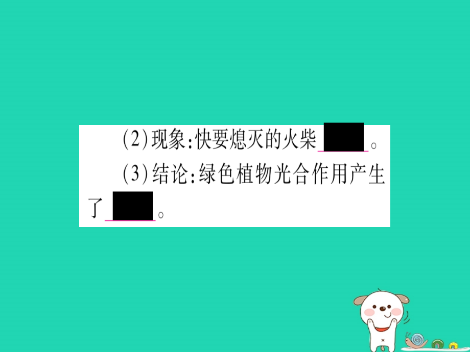 2019年中考生物 第3单元 第3章 叶的光合作用 第4章 呼吸作用和蒸腾作用 第5章 绿色植物在生物圈中的作用教材复习课件 冀教版_第3页