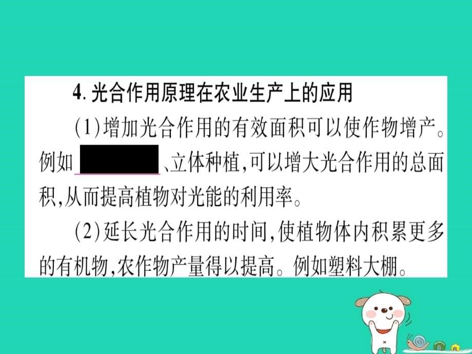 2019年中考生物 第3单元 第3章 叶的光合作用 第4章 呼吸作用和蒸腾作用 第5章 绿色植物在生物圈中的作用教材复习课件 冀教版_第5页