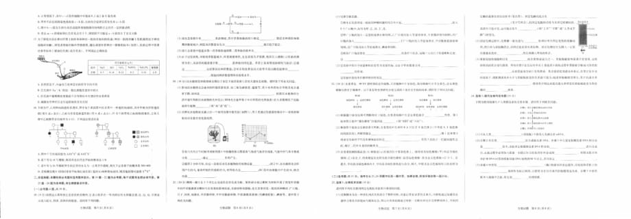 河南省鹤壁市2018-2019学年高二下学期期末考试生物试题 PDF版_第2页