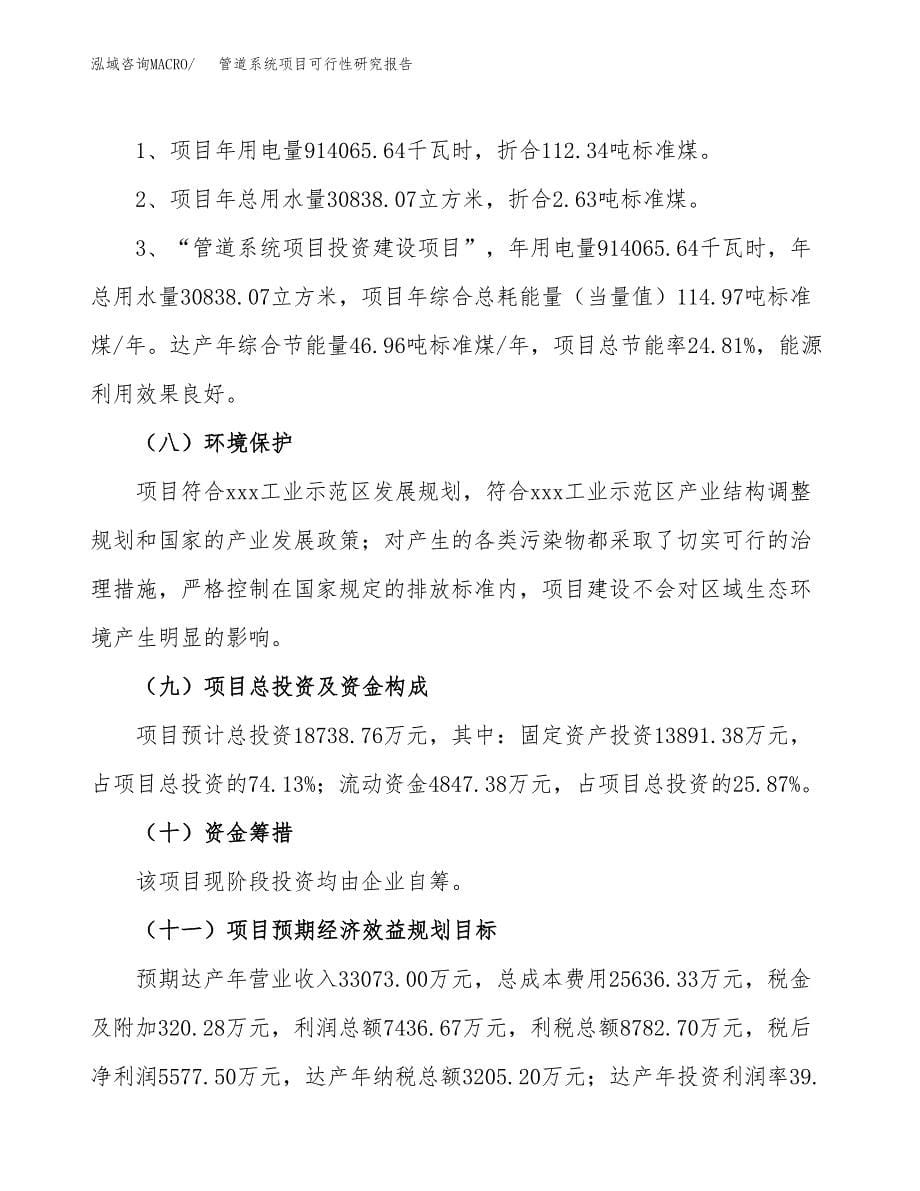 管道系统项目可行性研究报告[参考范文].docx_第5页