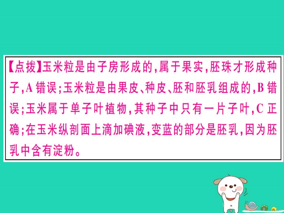 2019春八年级生物下册 专题三 绿色开花植物的一生习题课件 （新版）新人教版_第3页