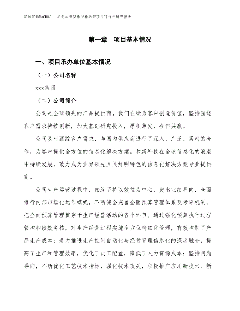 尼龙加强型橡胶输送带项目可行性研究报告_范文.docx_第3页