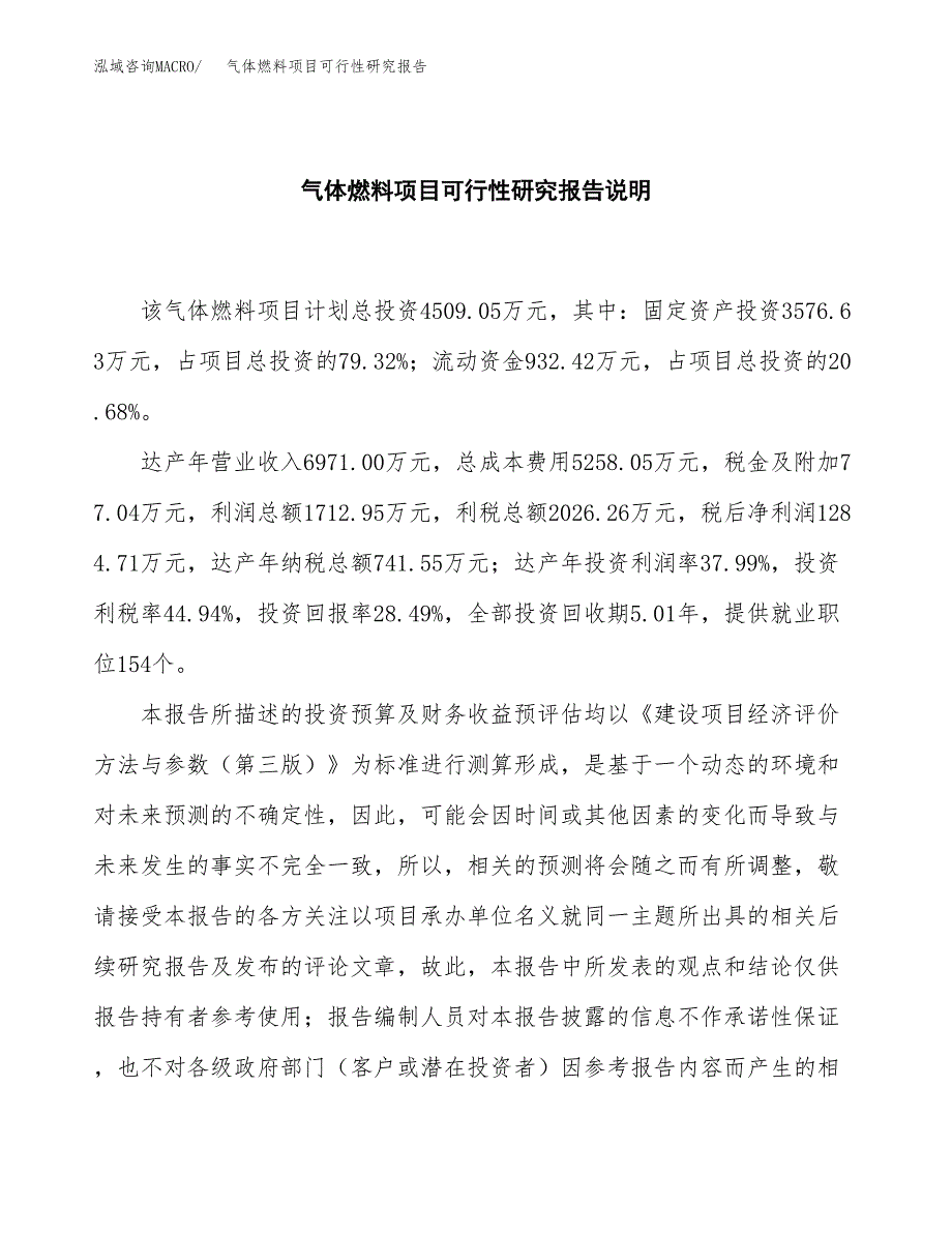 气体燃料项目可行性研究报告[参考范文].docx_第2页