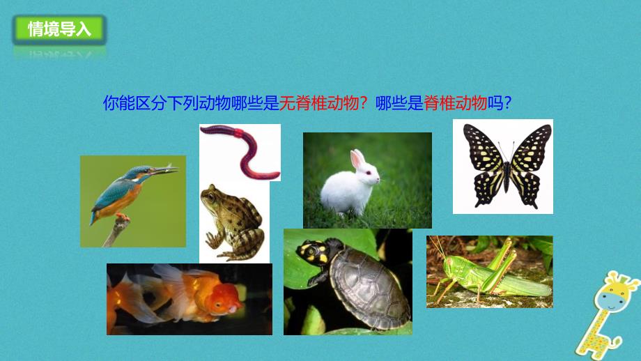 七年级生物上册 2.2.2 脊椎动物的主要类群课件1 （新版）济南版_第2页