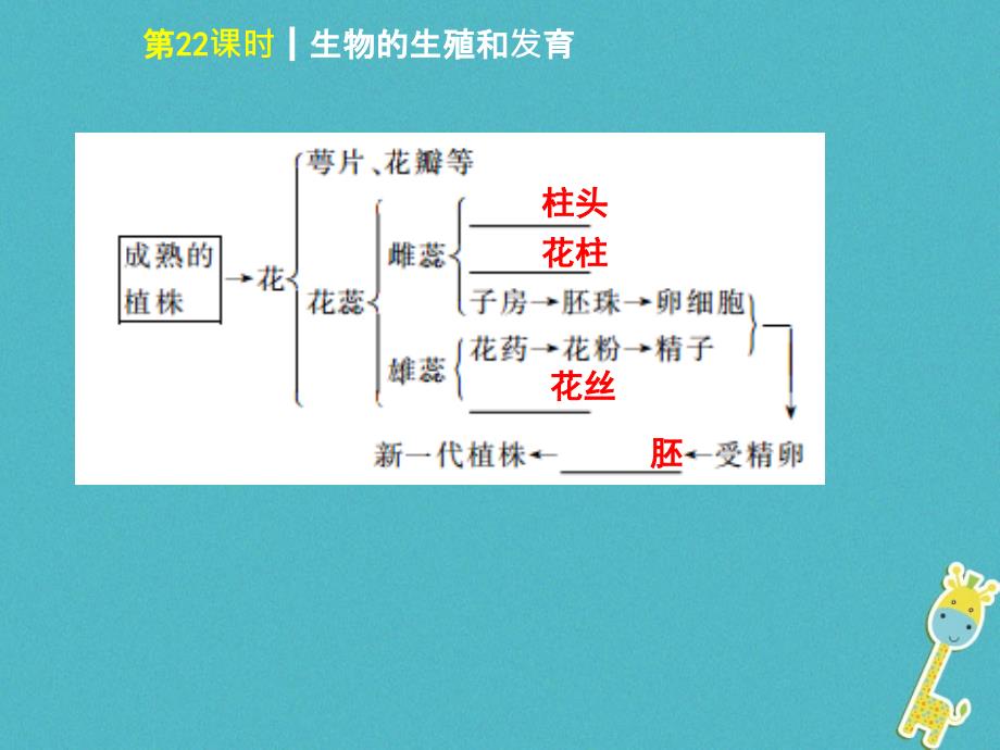 2018年中考生物 第六单元 生命的延续和发展 第22课时 生物的生殖和发育课件_第3页