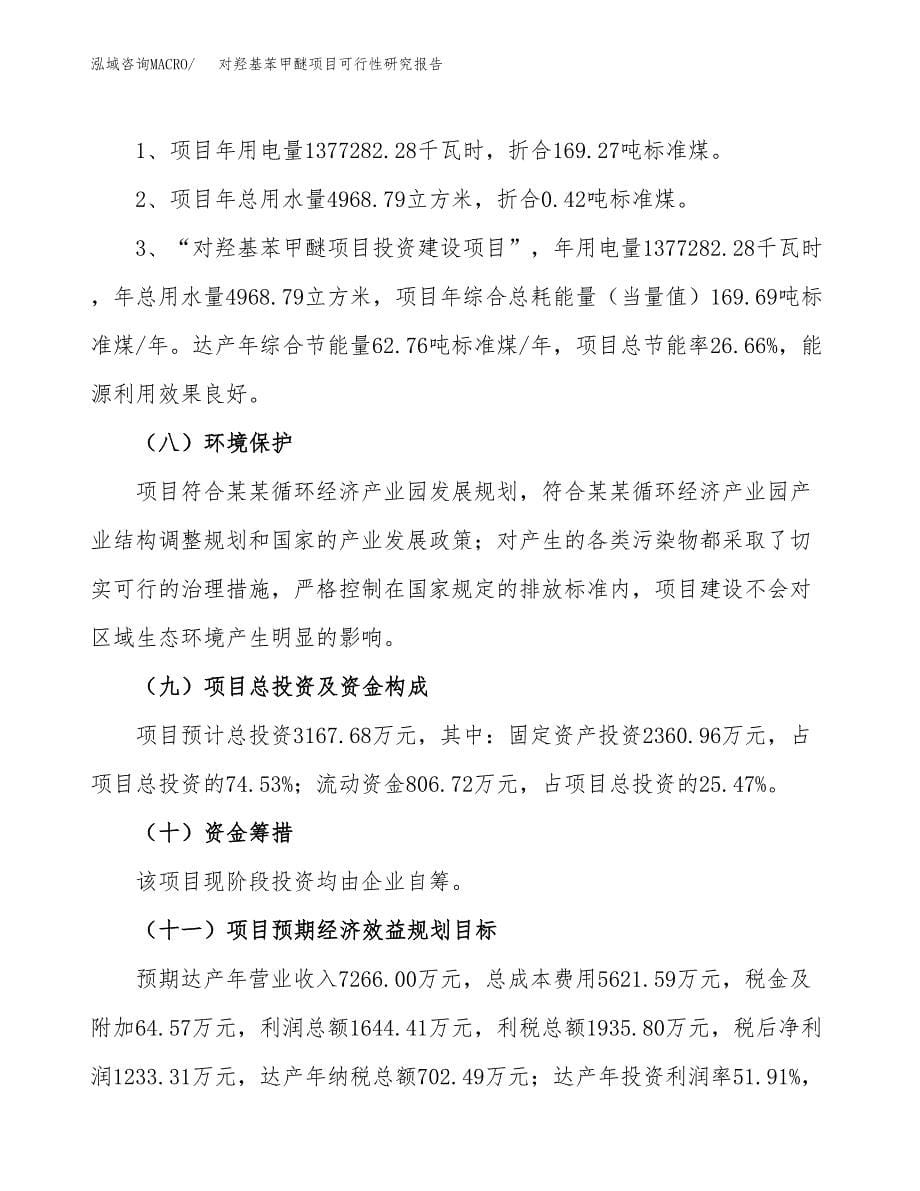 对羟基苯甲醚项目可行性研究报告[参考范文].docx_第5页