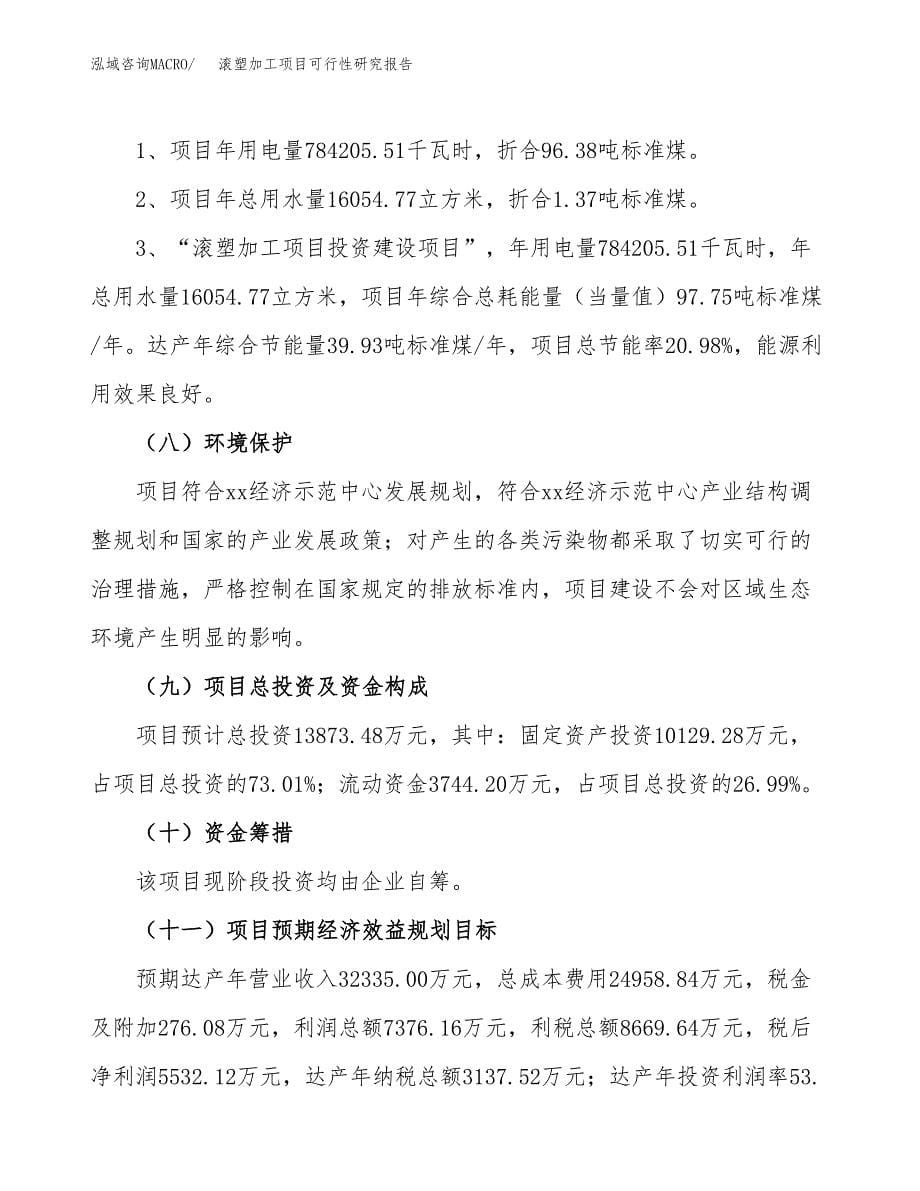 滚塑加工项目可行性研究报告[参考范文].docx_第5页