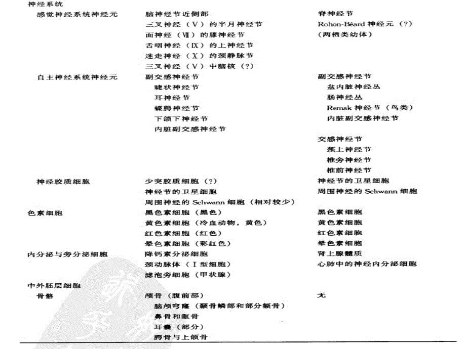 发育神经生物学课件_第5页