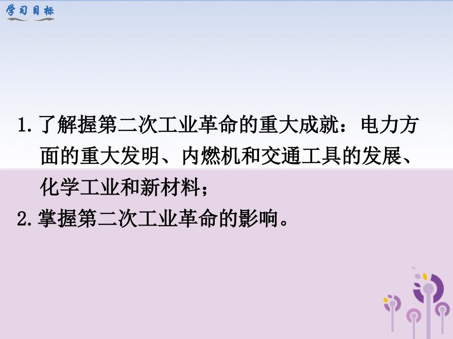 2019春九年级历史下册 第二单元 第二次工业革命和近代科学文化 第5课 第二次工业革命教学课件 新人教版_第4页