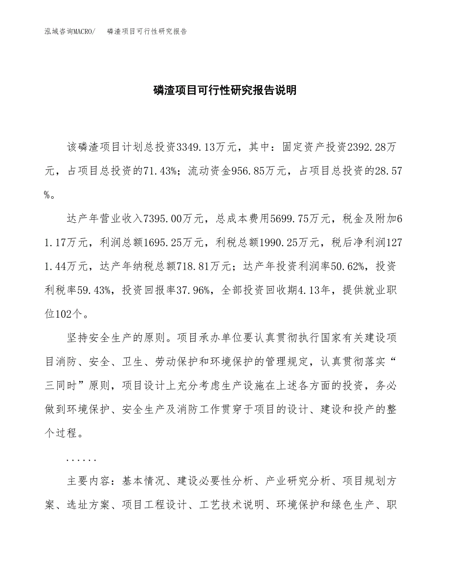 磷渣项目可行性研究报告[参考范文].docx_第2页