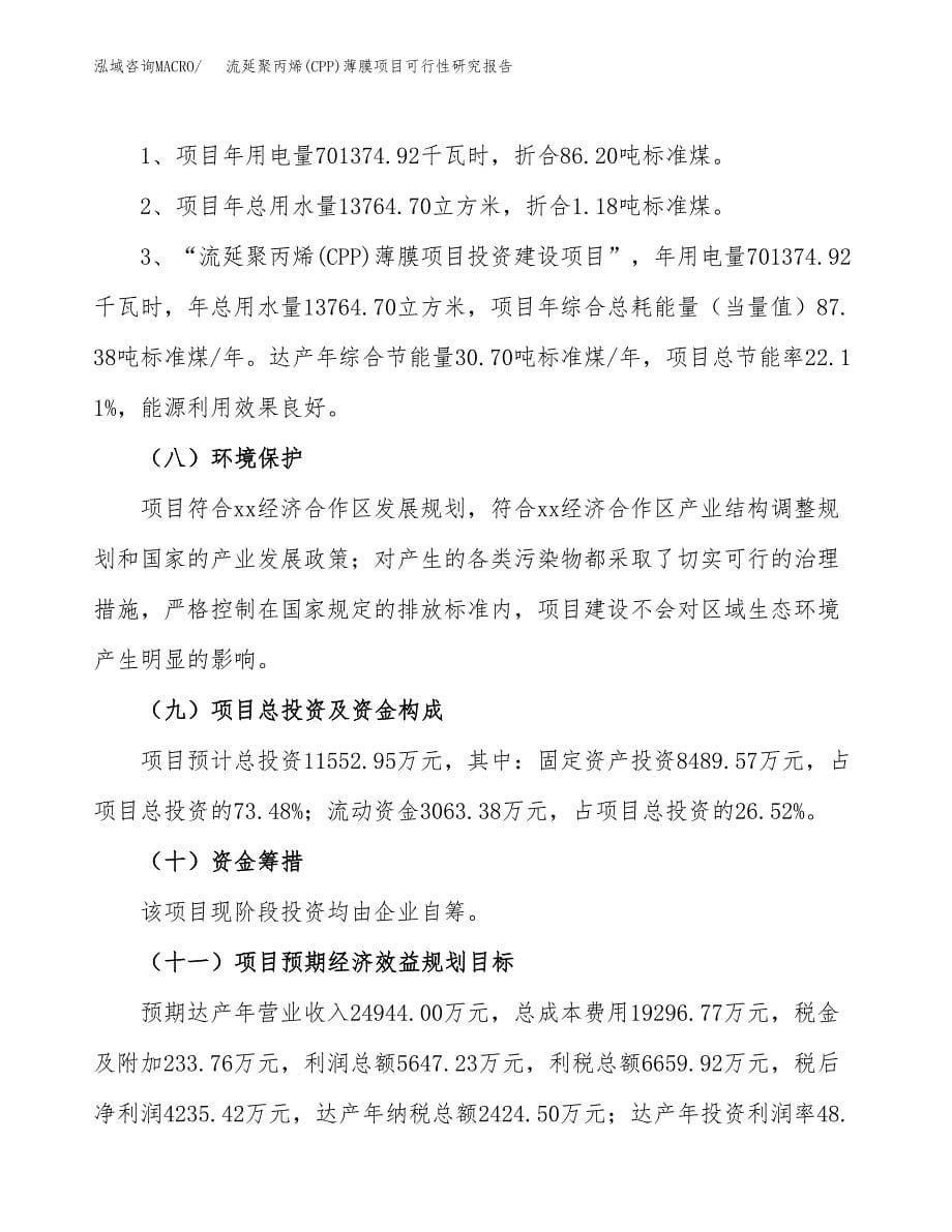 流延聚丙烯(CPP)薄膜项目可行性研究报告[参考范文].docx_第5页