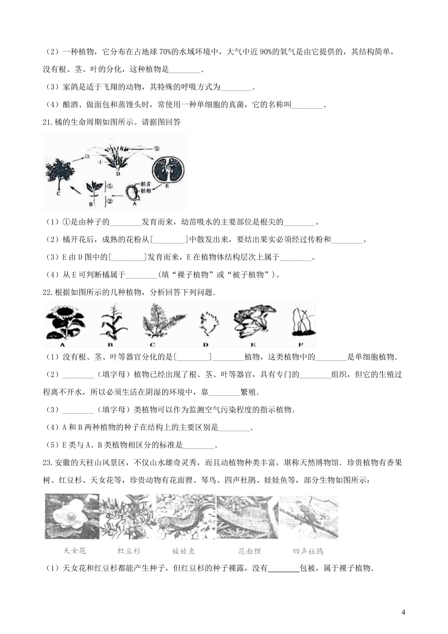 2019年中考生物 绿色植物的种类专题复习（无答案）_第4页