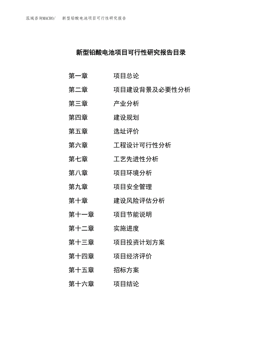 新型铅酸电池项目可行性研究报告_范文.docx_第2页