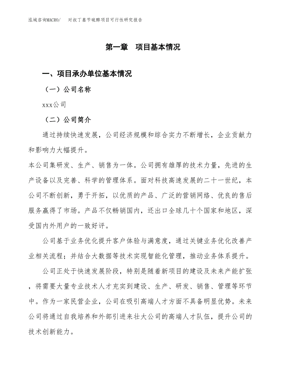 对叔丁基苄硫醇项目可行性研究报告_范文.docx_第3页