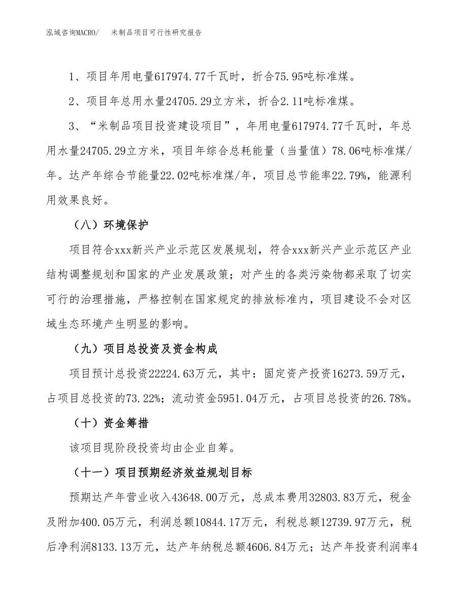 米制品项目可行性研究报告[参考范文].docx_第5页