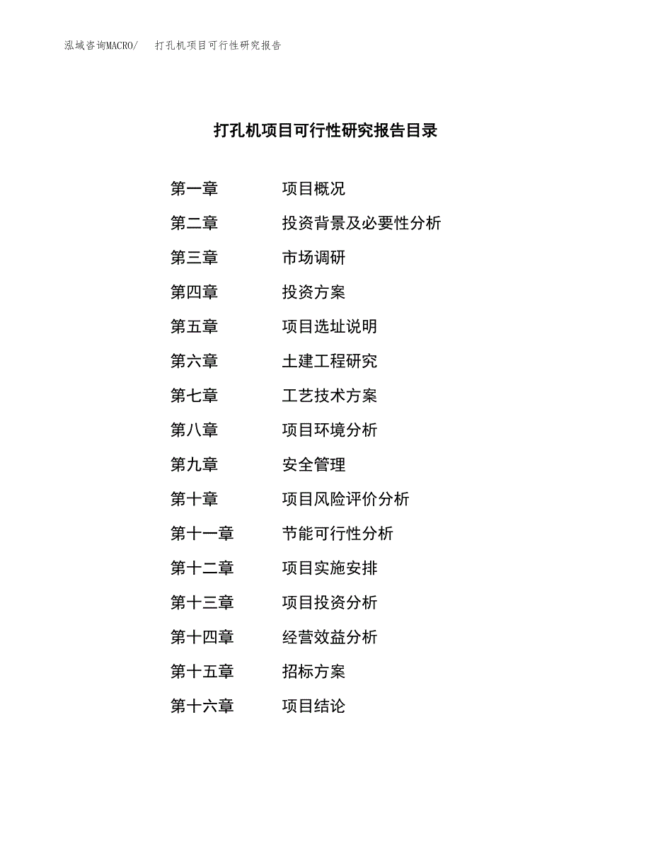 打孔机项目可行性研究报告_范文.docx_第2页