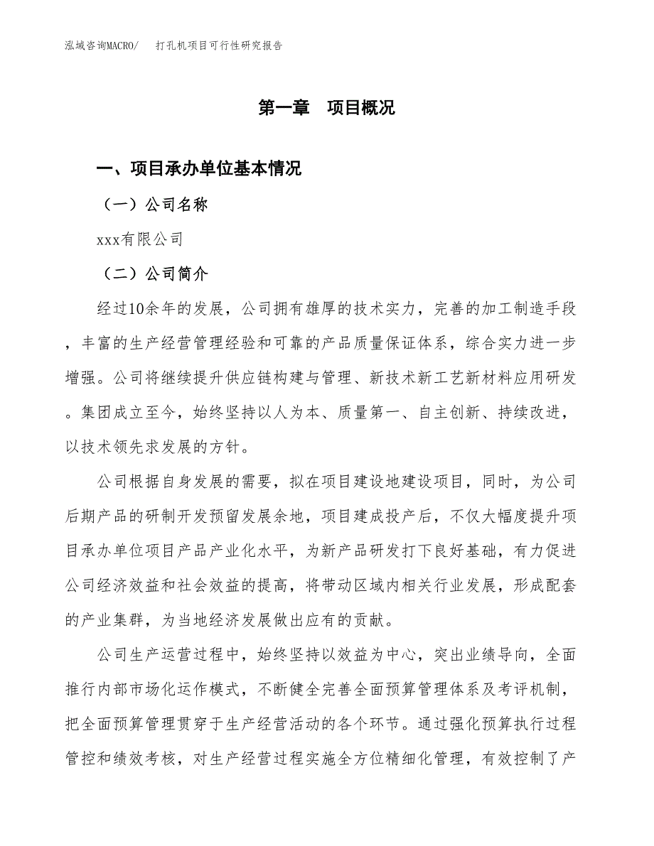 打孔机项目可行性研究报告_范文.docx_第3页