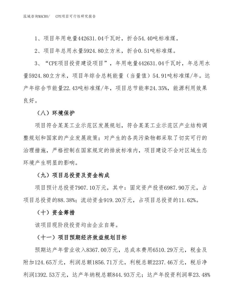 CPE项目可行性研究报告[参考范文].docx_第5页