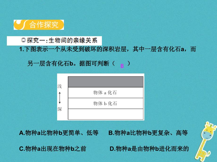 2017-2018学年八年级生物下册 第六单元 第三章 第二节 生物的进化（第1课时）课件 （新版）冀教版_第3页