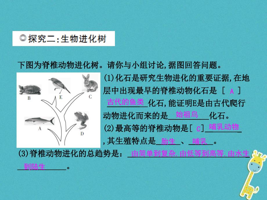 2017-2018学年八年级生物下册 第六单元 第三章 第二节 生物的进化（第1课时）课件 （新版）冀教版_第4页