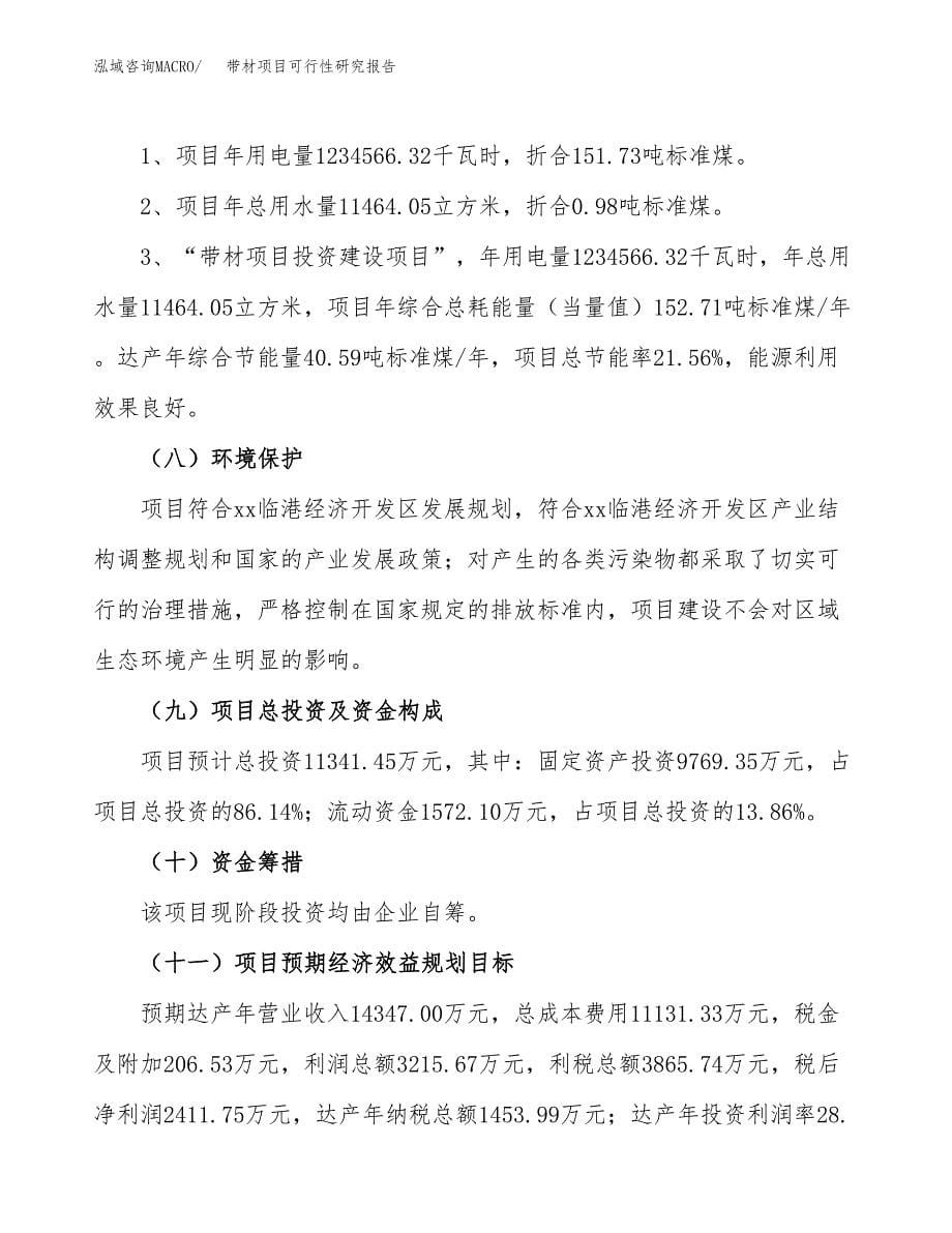 带材项目可行性研究报告[参考范文].docx_第5页