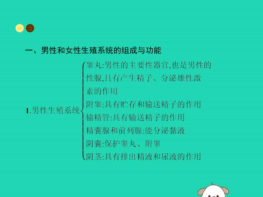 2019年春七年级生物下册 第一章 人的由来整合课件 （新版）新人教版_第3页