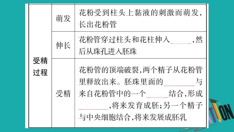 2018中考生物总复习 八下 第6单元 第1章 生物的繁殖教材考点梳理课件 冀教版_第5页