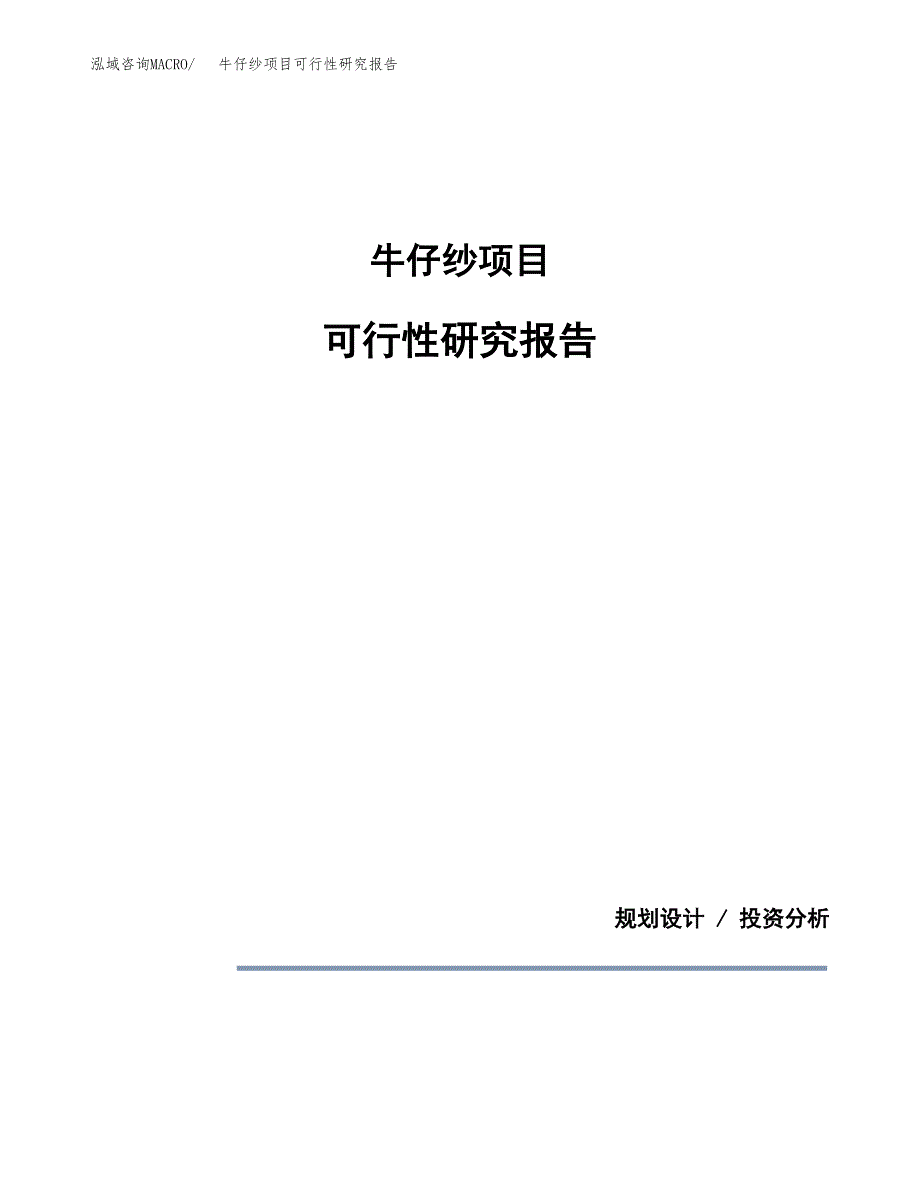 牛仔纱项目可行性研究报告[参考范文].docx_第1页