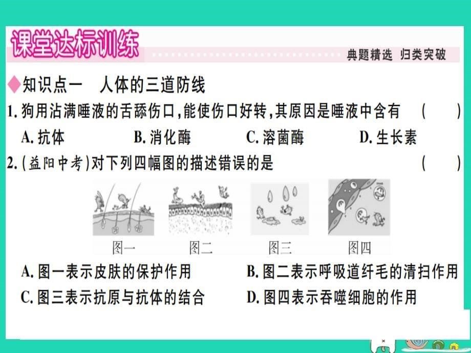 2019春八年级生物下册 第八单元 第一章 第二节 免疫与计划免疫  第1课时 人体的三道防线习题课件 （新版）新人教版_第5页