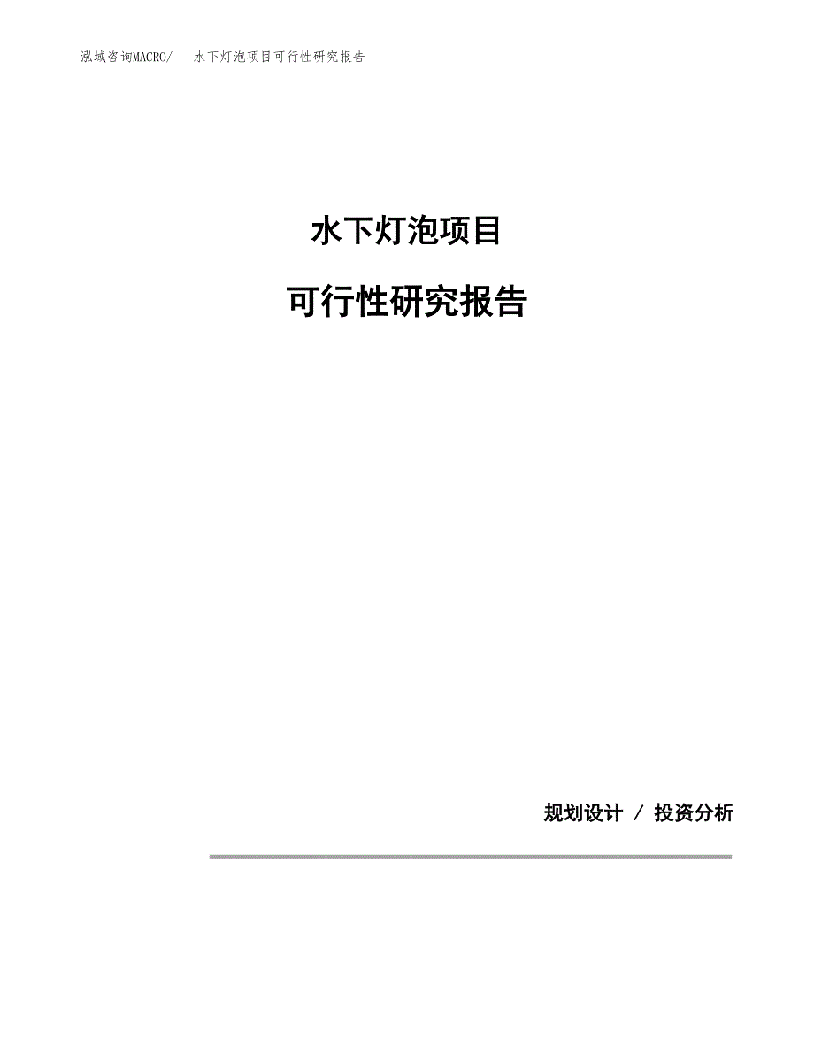 水下灯泡项目可行性研究报告[参考范文].docx_第1页