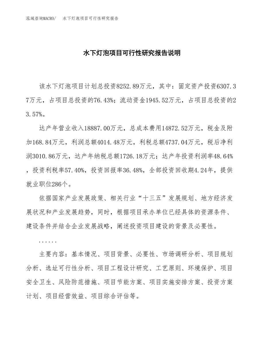 水下灯泡项目可行性研究报告[参考范文].docx_第2页