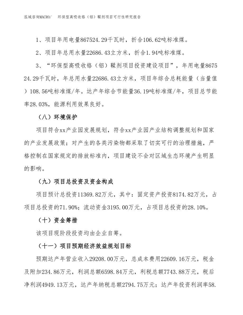 环保型高吸收铬（铝）鞣剂项目可行性研究报告[参考范文].docx_第5页