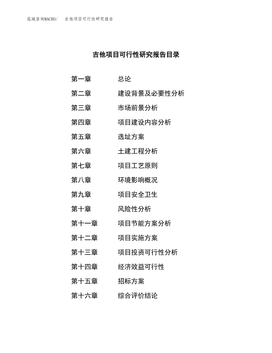 吉他项目可行性研究报告_范文.docx_第2页