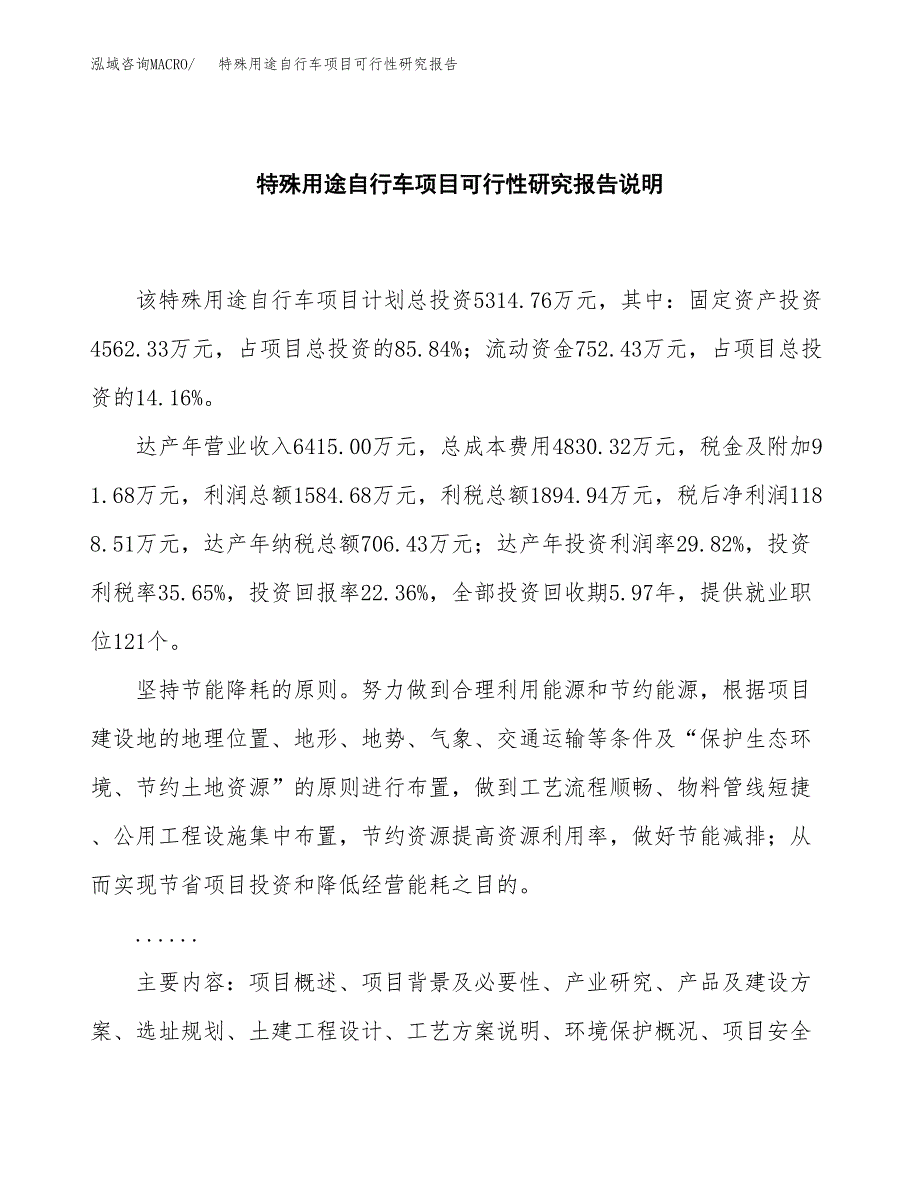 特殊用途自行车项目可行性研究报告[参考范文].docx_第2页