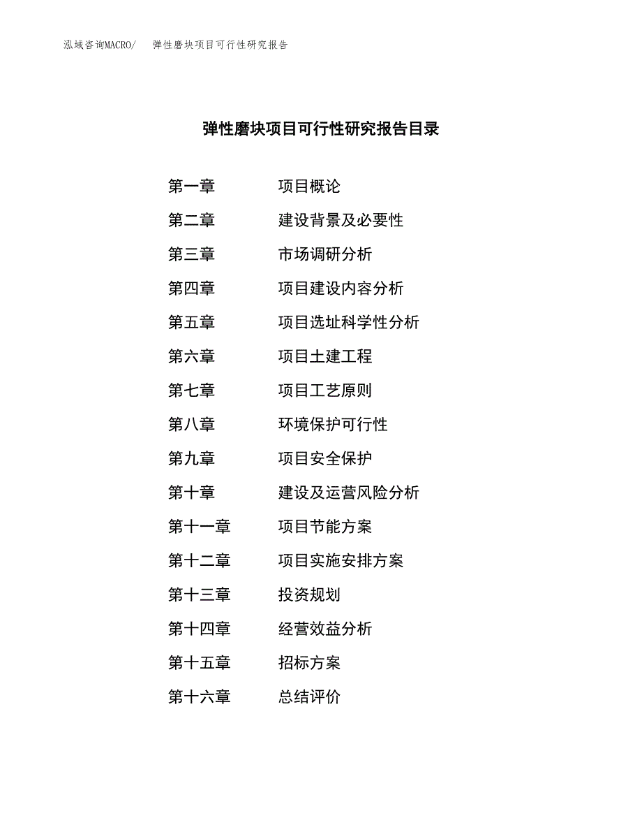 弹性磨块项目可行性研究报告_范文.docx_第2页