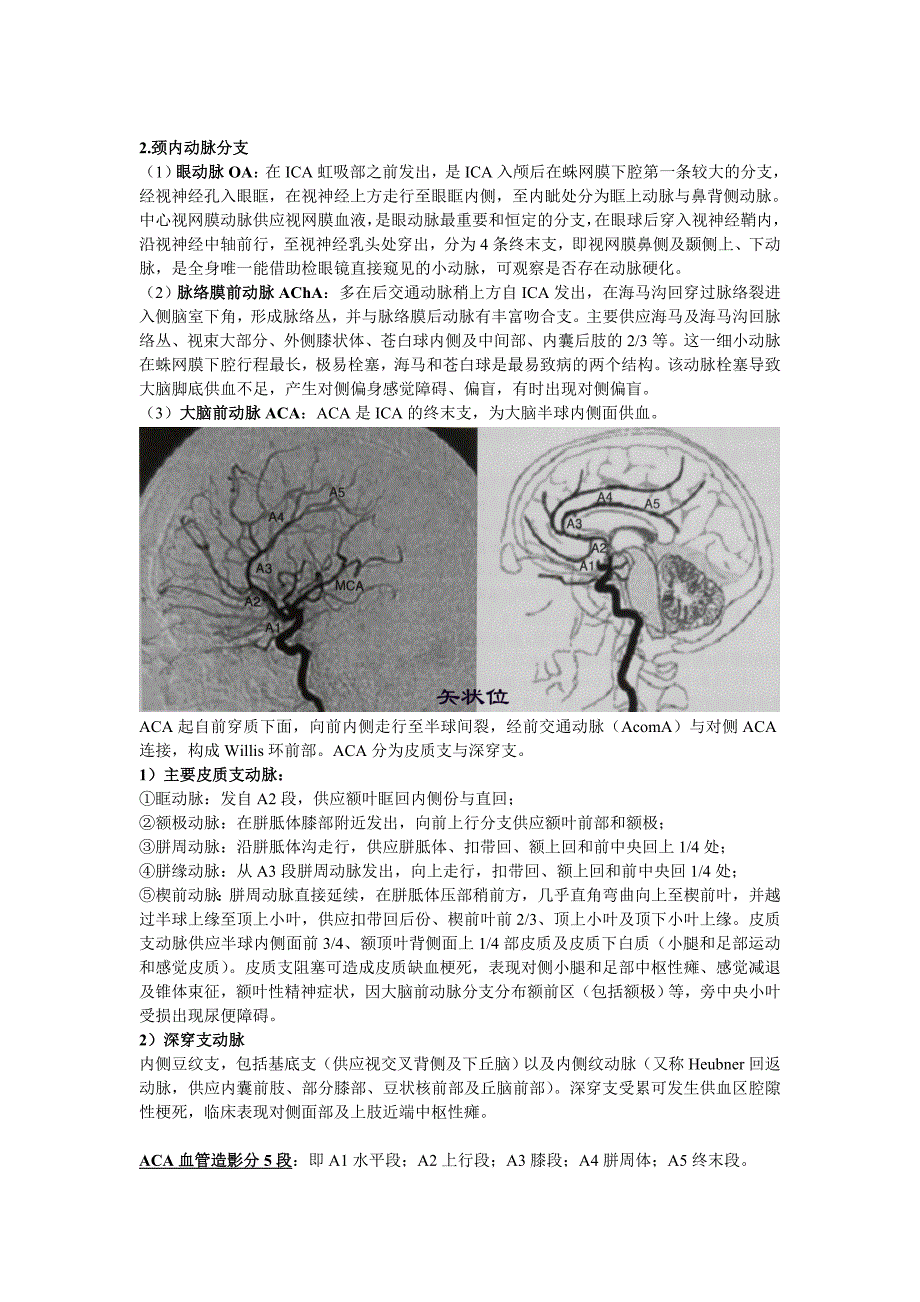 脑血液循环的解剖与生理_第3页