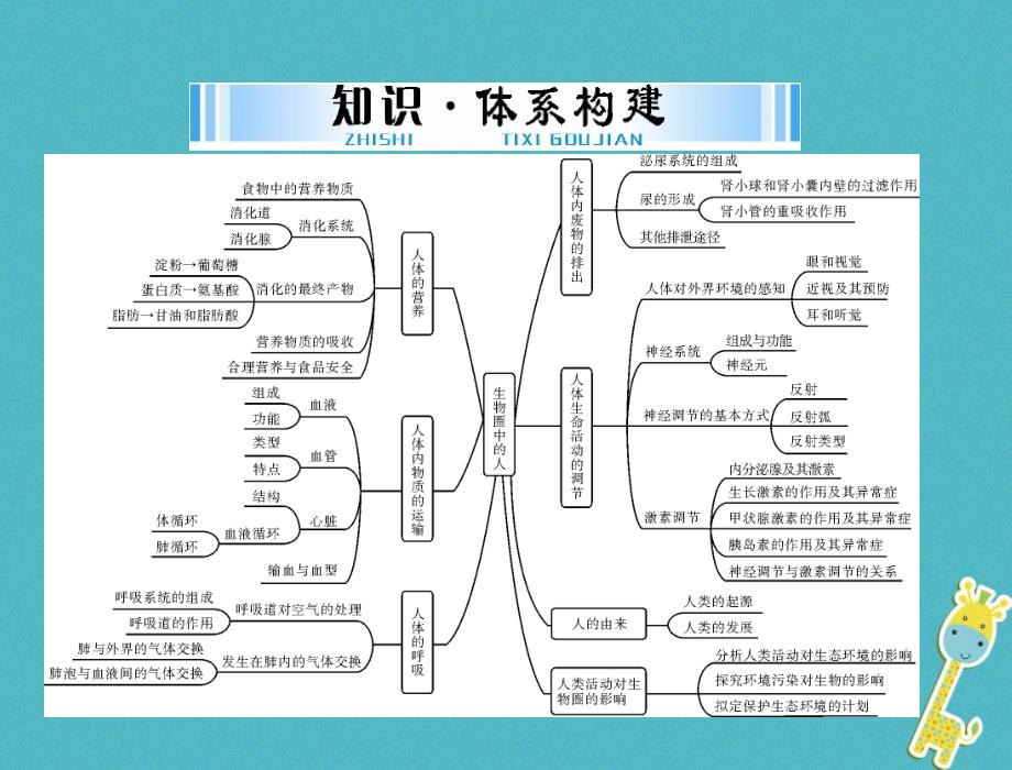 2018年中考生物 考点梳理 第一轮 第四章 第一讲 人体的营养课件_第2页