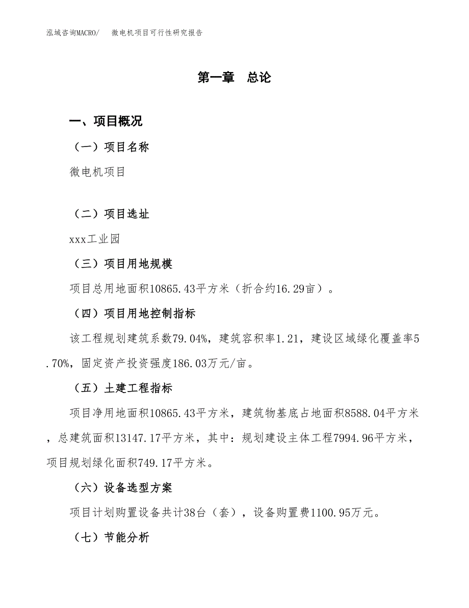 微电机项目可行性研究报告[参考范文].docx_第4页