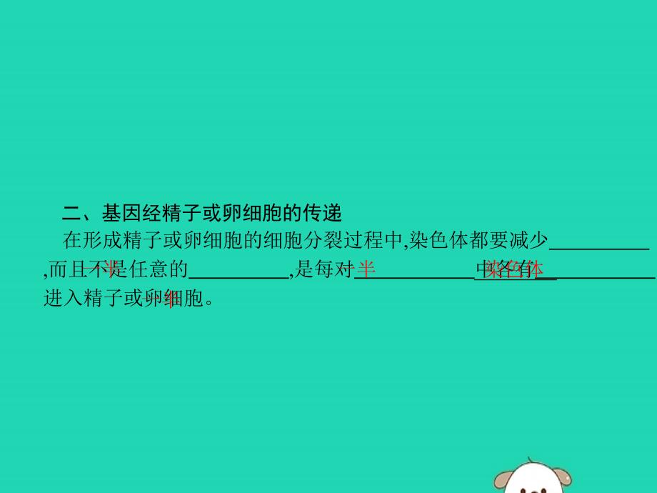 2019年春八年级生物下册 第七单元 生物圈中生命的延续和发展 第二章 生物的遗传和变异 第二节 基因在亲子代间的传递课件 新人教版_第3页