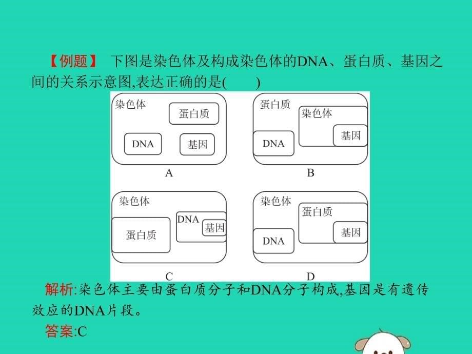 2019年春八年级生物下册 第七单元 生物圈中生命的延续和发展 第二章 生物的遗传和变异 第二节 基因在亲子代间的传递课件 新人教版_第5页