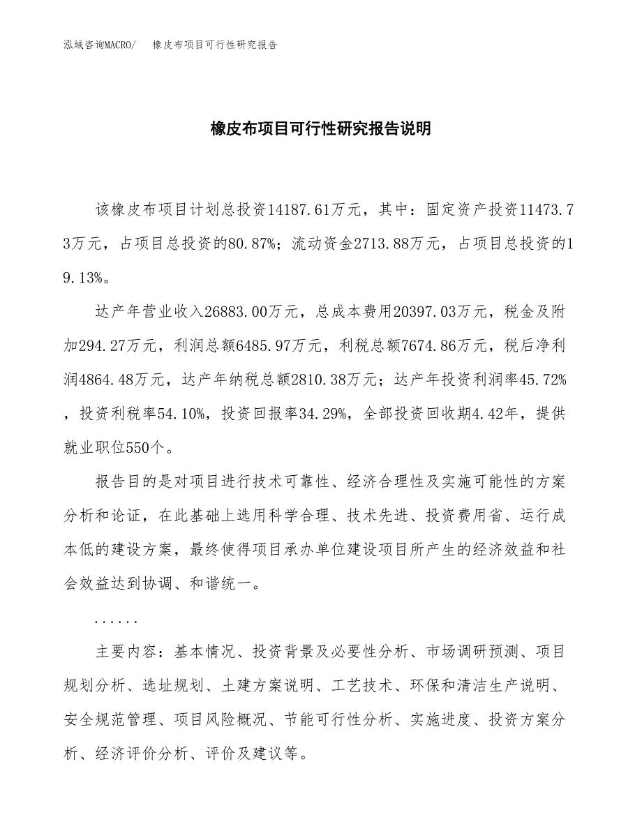 橡皮布项目可行性研究报告[参考范文].docx_第2页