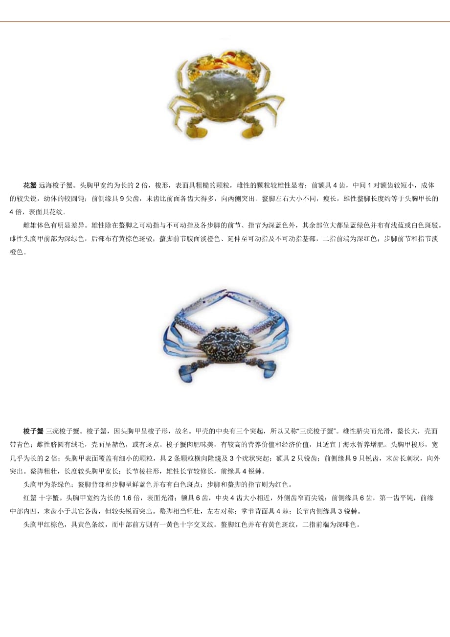螃蟹的种类_第2页
