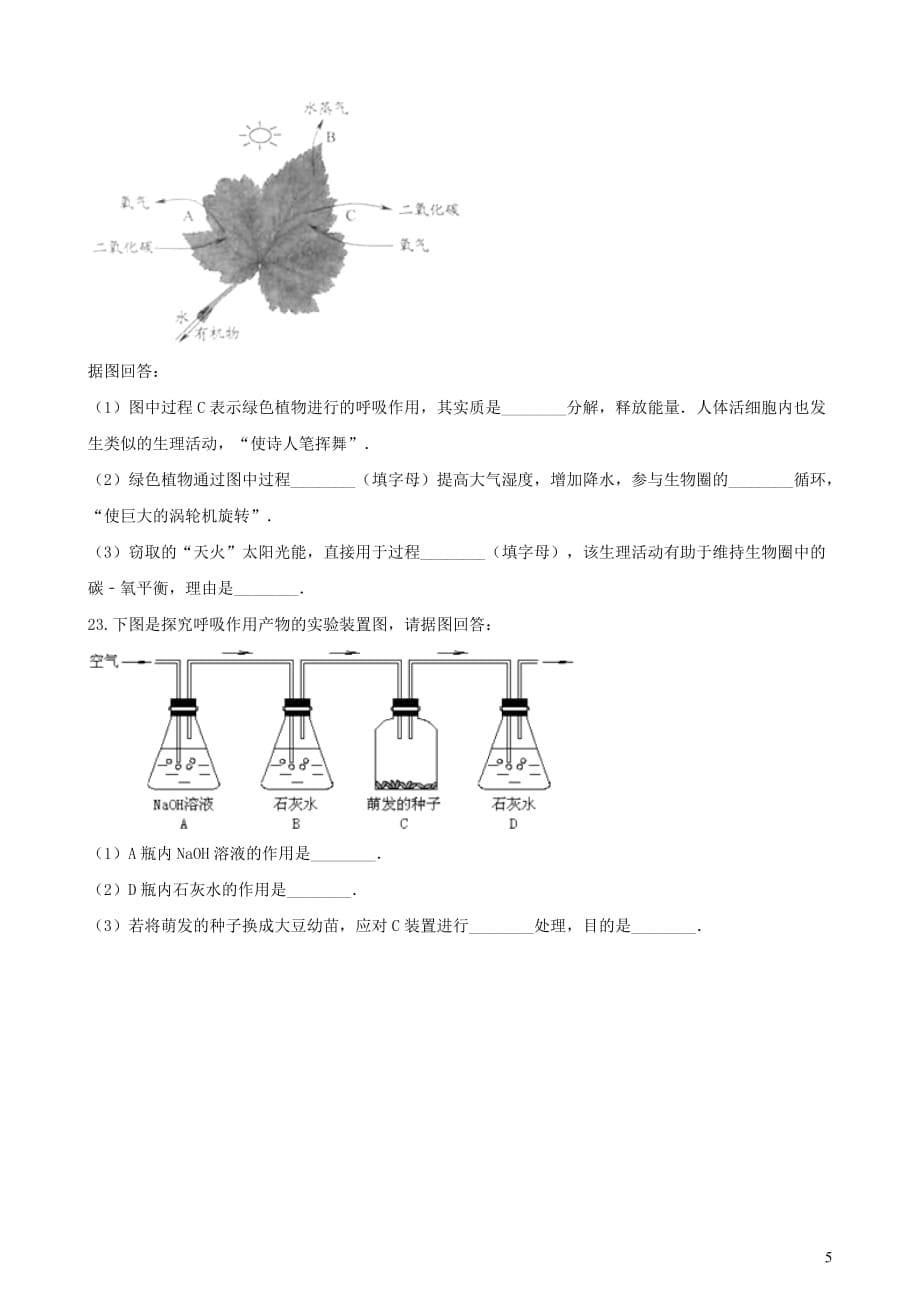 2019年中考生物 绿色植物的生活专题复习（无答案）_第5页