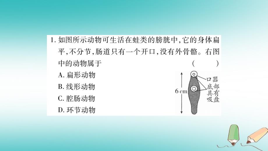 2018秋八年级生物上册 读图专项训练习题课件 （新版）新人教版_第2页