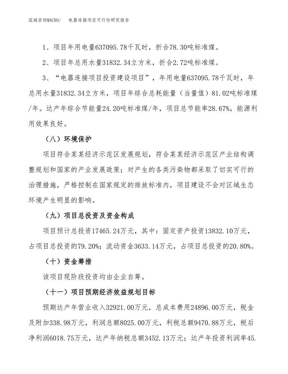 电器连接项目可行性研究报告[参考范文].docx_第5页